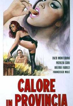 Calore in provincia (1975)