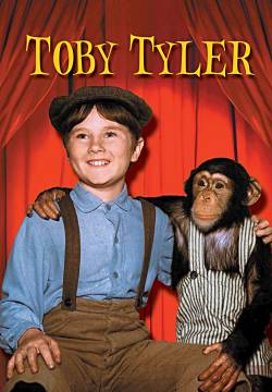 Toby Tyler or Ten Weeks with a Circus - Toby Tyler (1960)